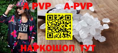 ешки Кингисепп