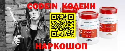 ешки Кингисепп