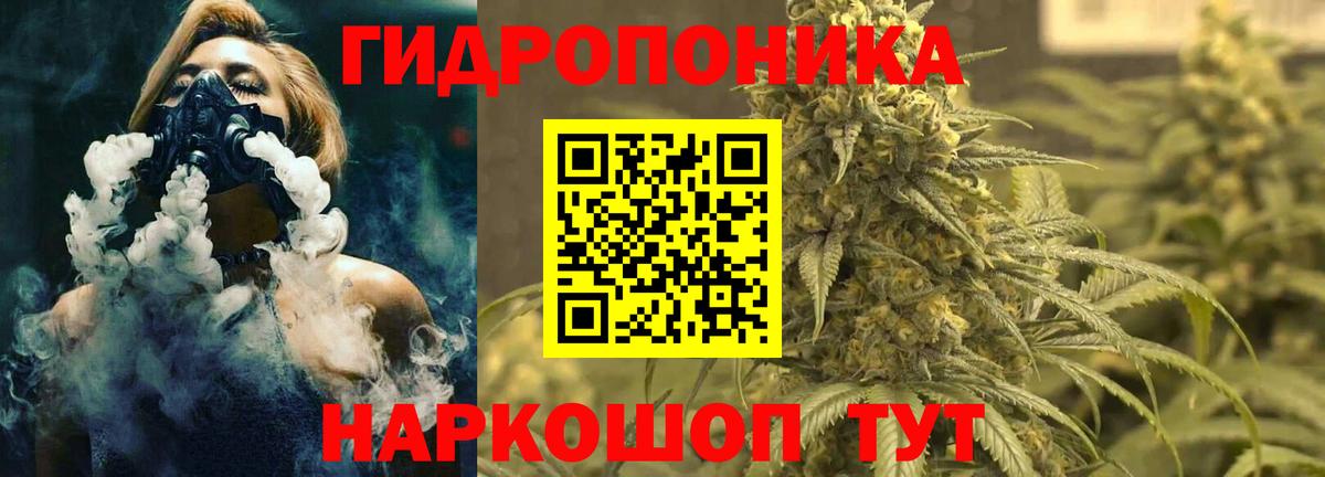 Красногорск  Бошки Шишки план  Марихуана OG Kush  Марихуана марихуана  Вход с VPN 